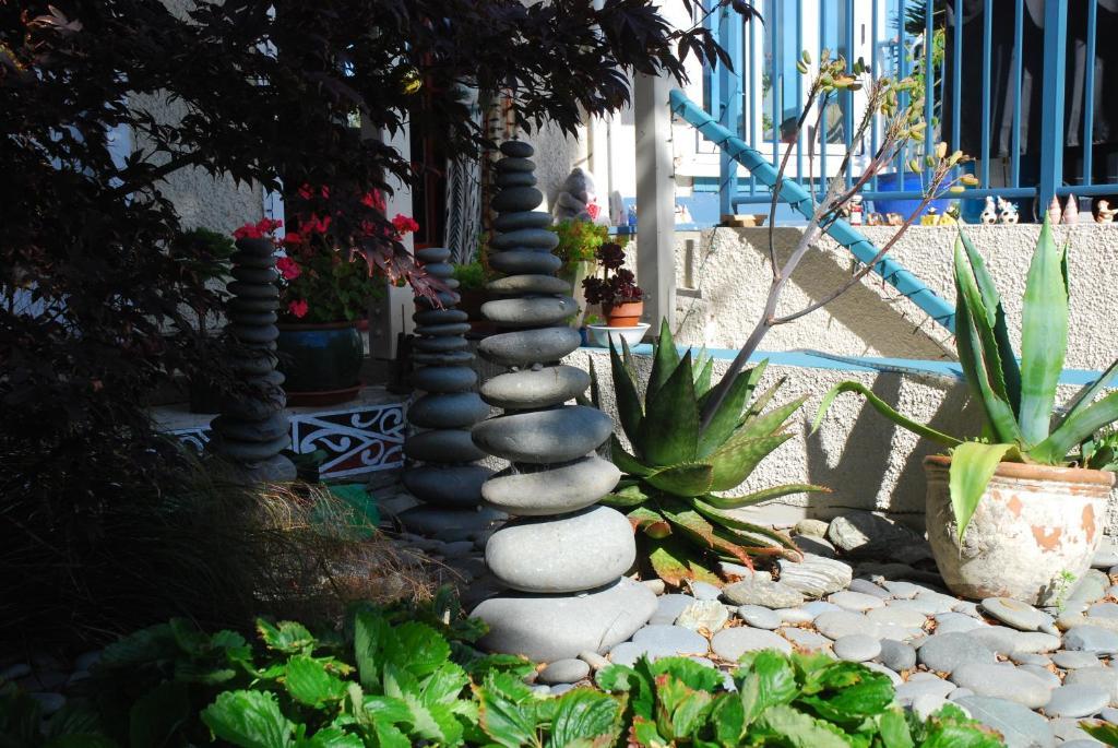 Bed and Breakfast Arden Street House Dunedin Exteriér fotografie